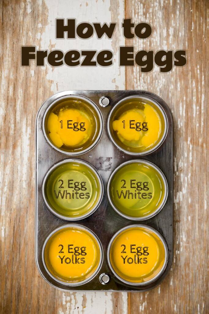 How To Freeze Eggs | Cupcake Project